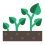 plant-growth